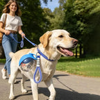 2-In-1 Portable Dog Water Bottle